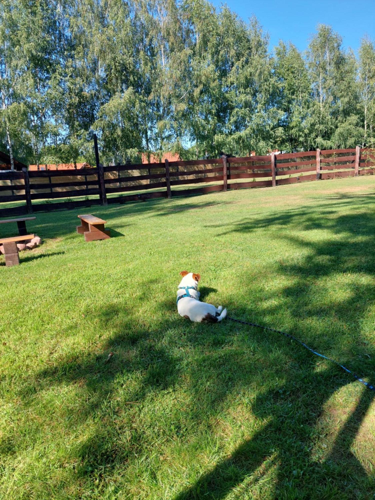 Domek Nad Krutynia Piecki  Bagian luar foto